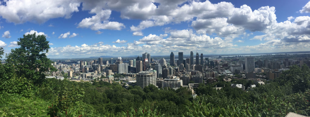 Vue du Mont-Royal