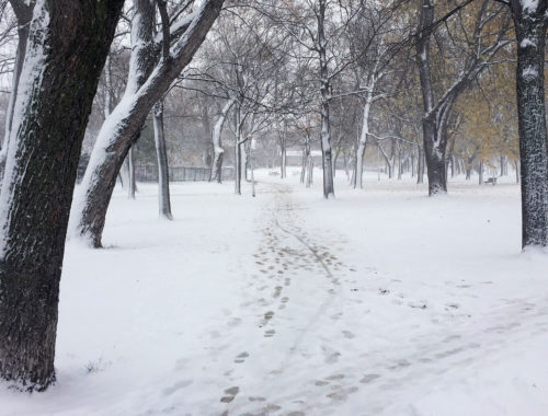 Montreal sous la neige en hiver