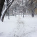 Montreal sous la neige en hiver